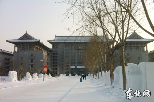 元旦小长假冰城冰雪游异彩纷呈 家门口的景点
