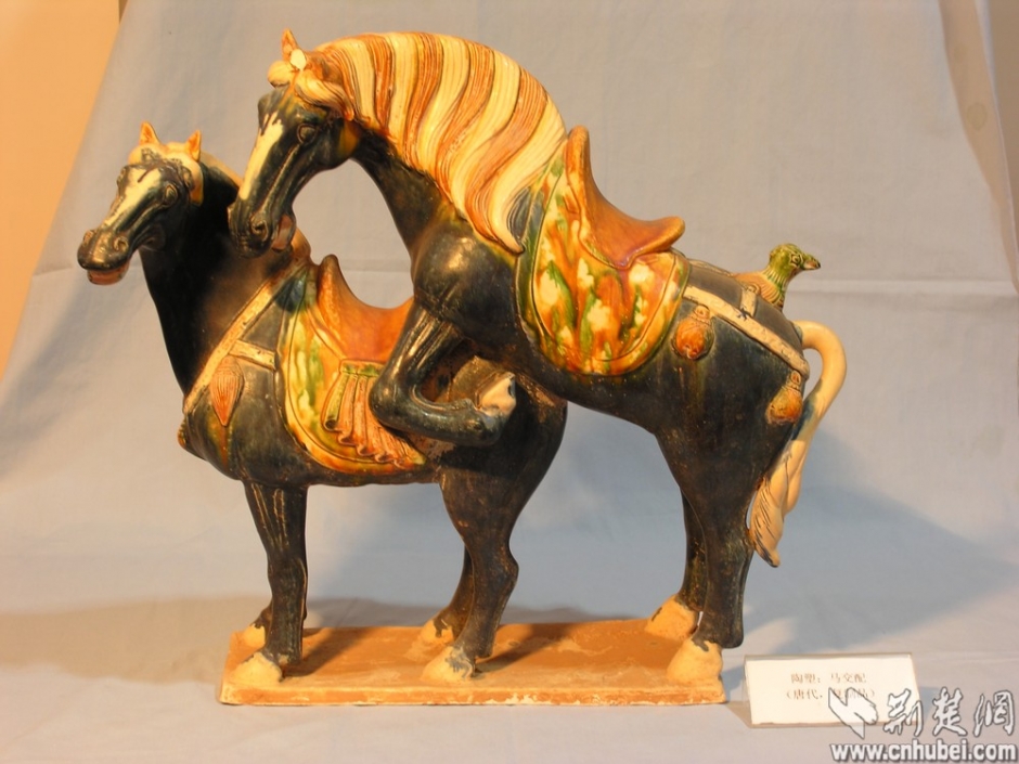 武汉性学博物馆新文物来袭:清代太监阉割刀具