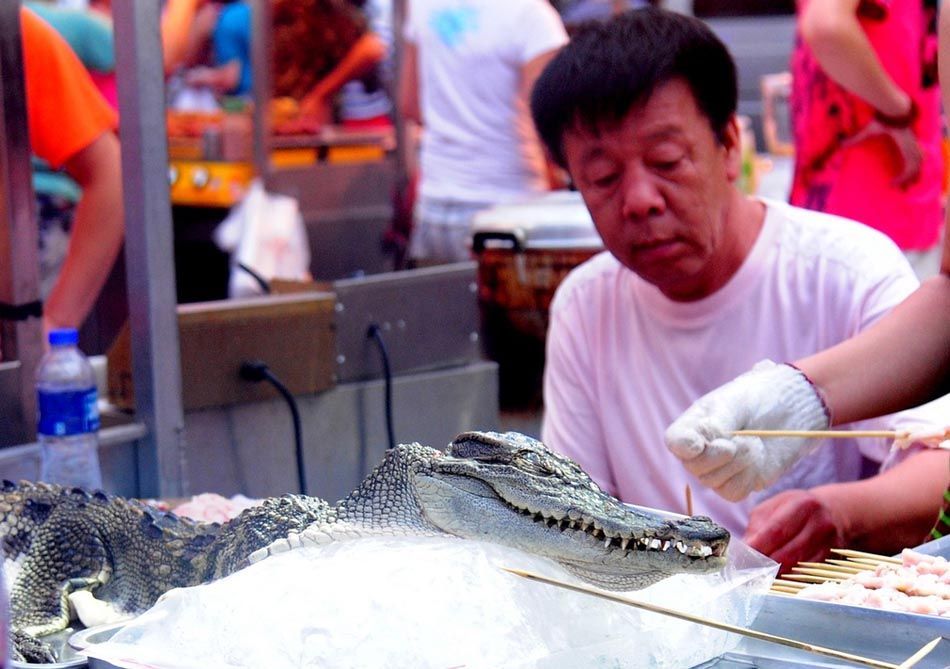 沈阳一烧烤店售卖鳄鱼肉(组图)