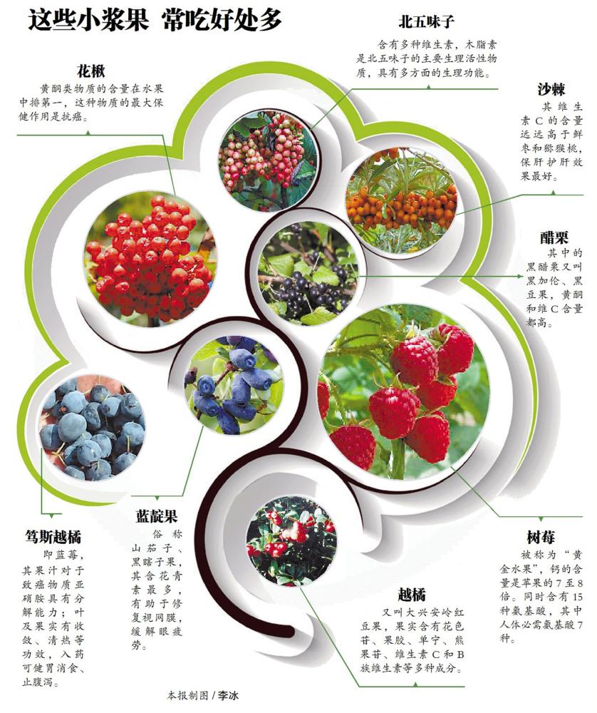 黑龙江省8大保健专家首次完成寒地浆果资源调查