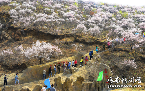 第五届杏花山旅游节开幕(图)-鸡西新闻网-东北网