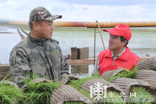 国网黑龙江电力服务春耕 水稻灌溉油改电每亩
