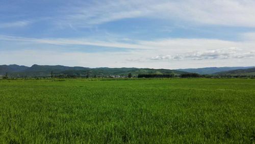 ϰ����ǡ���Լ�����ӱ�