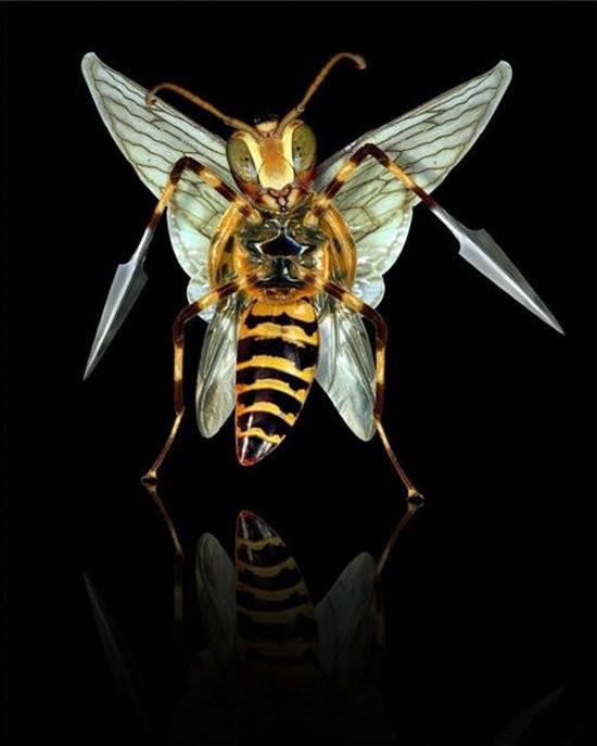 ▼感觉会被大针蜂戳穿.