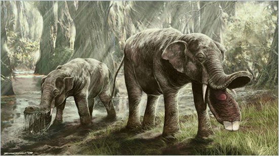 盘点7大怪异动物祖先:史前巨猿比北极熊更大[