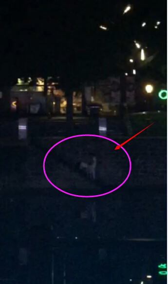 成都九眼桥桥震门 27秒不雅视频流出