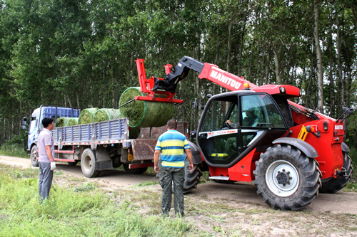 图为法国"曼尼通"伸缩叉装车对打捆的苜蓿草统一装车.