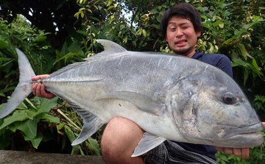 日渔民捕获巨型狼鱼表情满足 网友:恐怖片既视