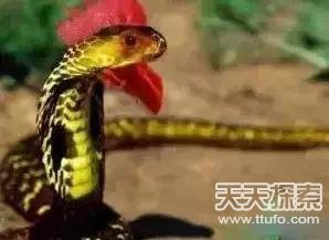 盗墓笔记中真实存在的24件诡异宝物曝光