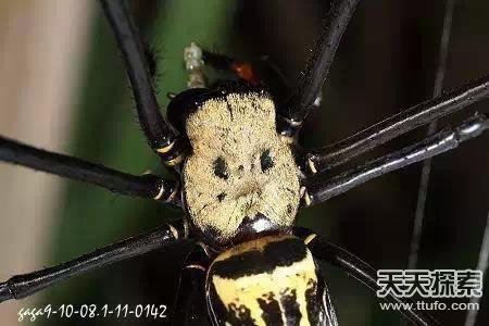 盗墓笔记中真实存在的24件诡异宝物曝光