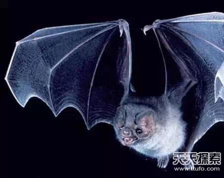 盗墓笔记中真实存在的24件诡异宝物曝光