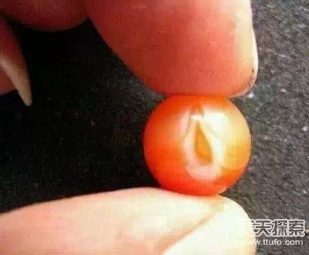 盗墓笔记中真实存在的24件诡异宝物曝光