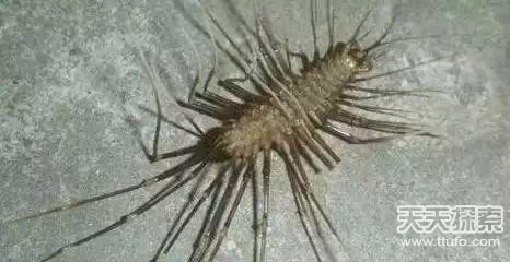 盗墓笔记中真实存在的24件诡异宝物曝光