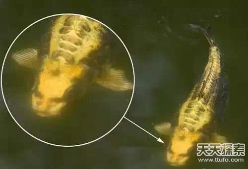 盗墓笔记中真实存在的24件诡异宝物曝光