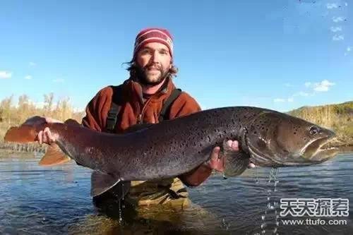 盗墓笔记中真实存在的24件诡异宝物曝光