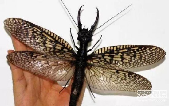 盗墓笔记中真实存在的24件诡异宝物曝光