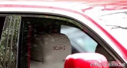 曝王思聪红色豪车 在副驾绣名字引吐槽