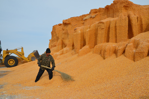 玉米粒堆起的"山川"
