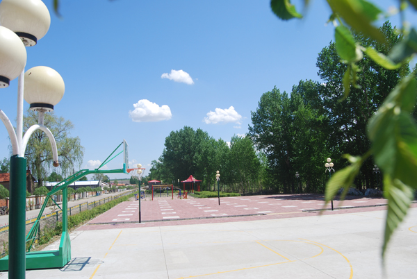 向阳镇申报国家级生态乡镇