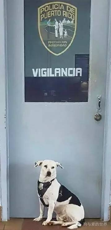 ˹Ȯ,һֻͬѰľְ֮· Աλʷع