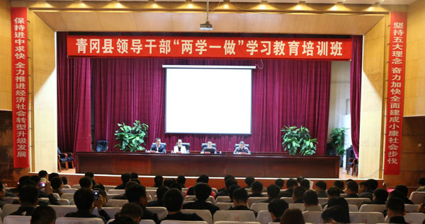 青冈县举办领导干部"两学一做"学习教育培训班.