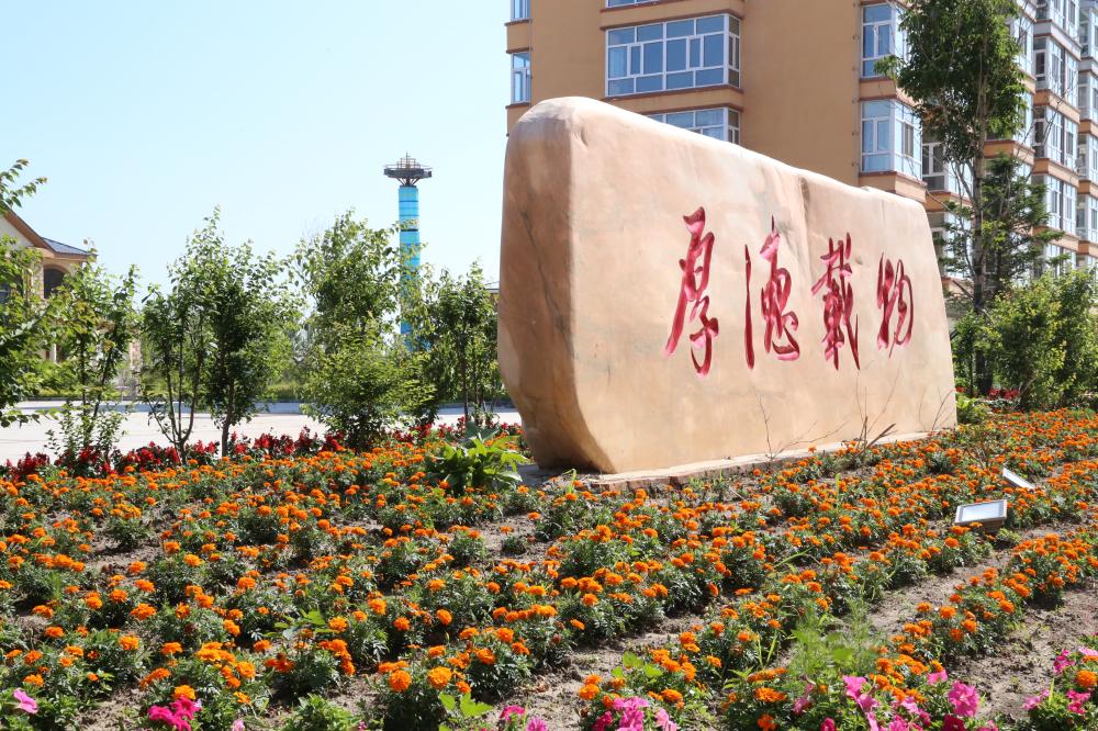 方正县方正村民住上连体住宅 过上城市生活