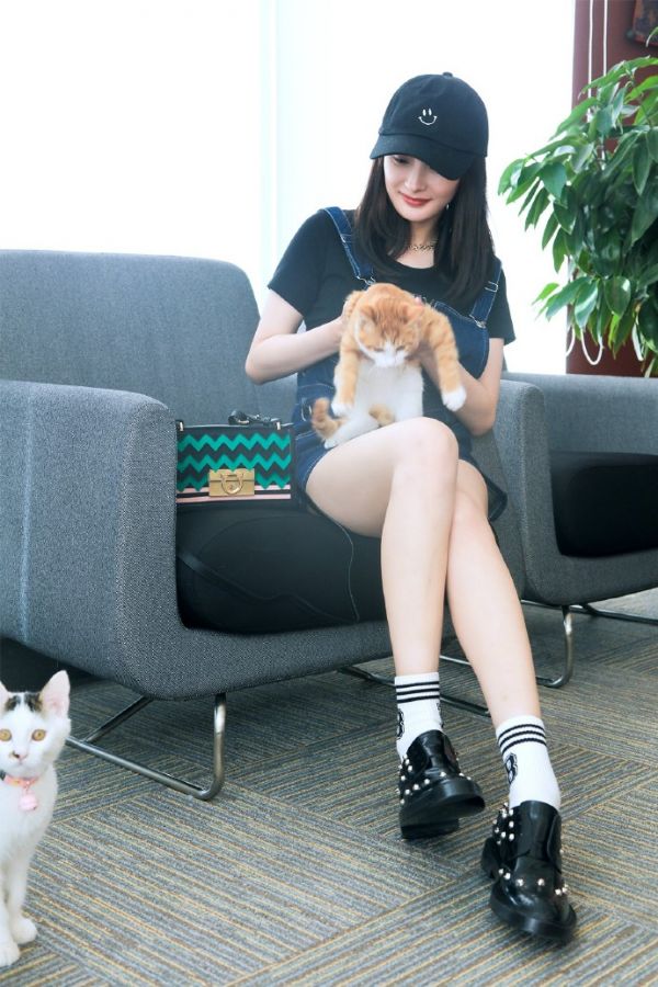 杨幂抱猫晒照秀长腿自嘲铲屎官网友热议杨幂11元的袜子