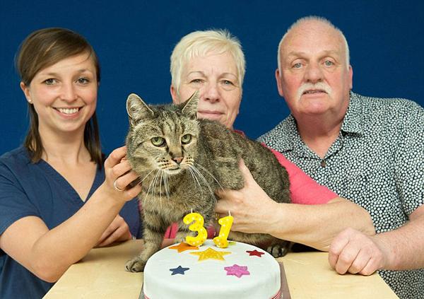 活捉一只"百年猫妖"!这位喵星人相当于人类141岁