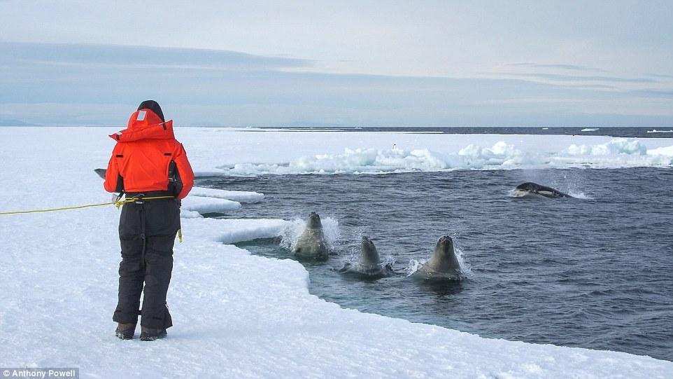 在南极生活15年是怎样的体验