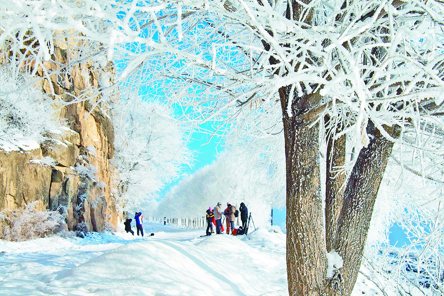 林口百里雾凇-东北网黑龙江-东北网