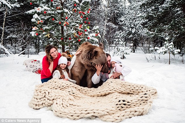 生猛的战斗民族小女孩与熊拥抱拍圣诞照组图