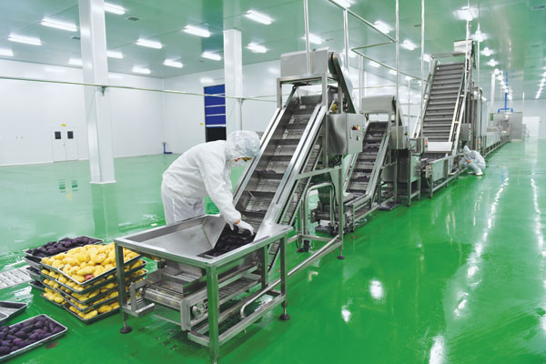 (最新版)马铃薯深加工项目可行性研究报告]