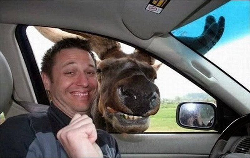 你拍照来我抢镜各种freestyle姿势就问你服不服