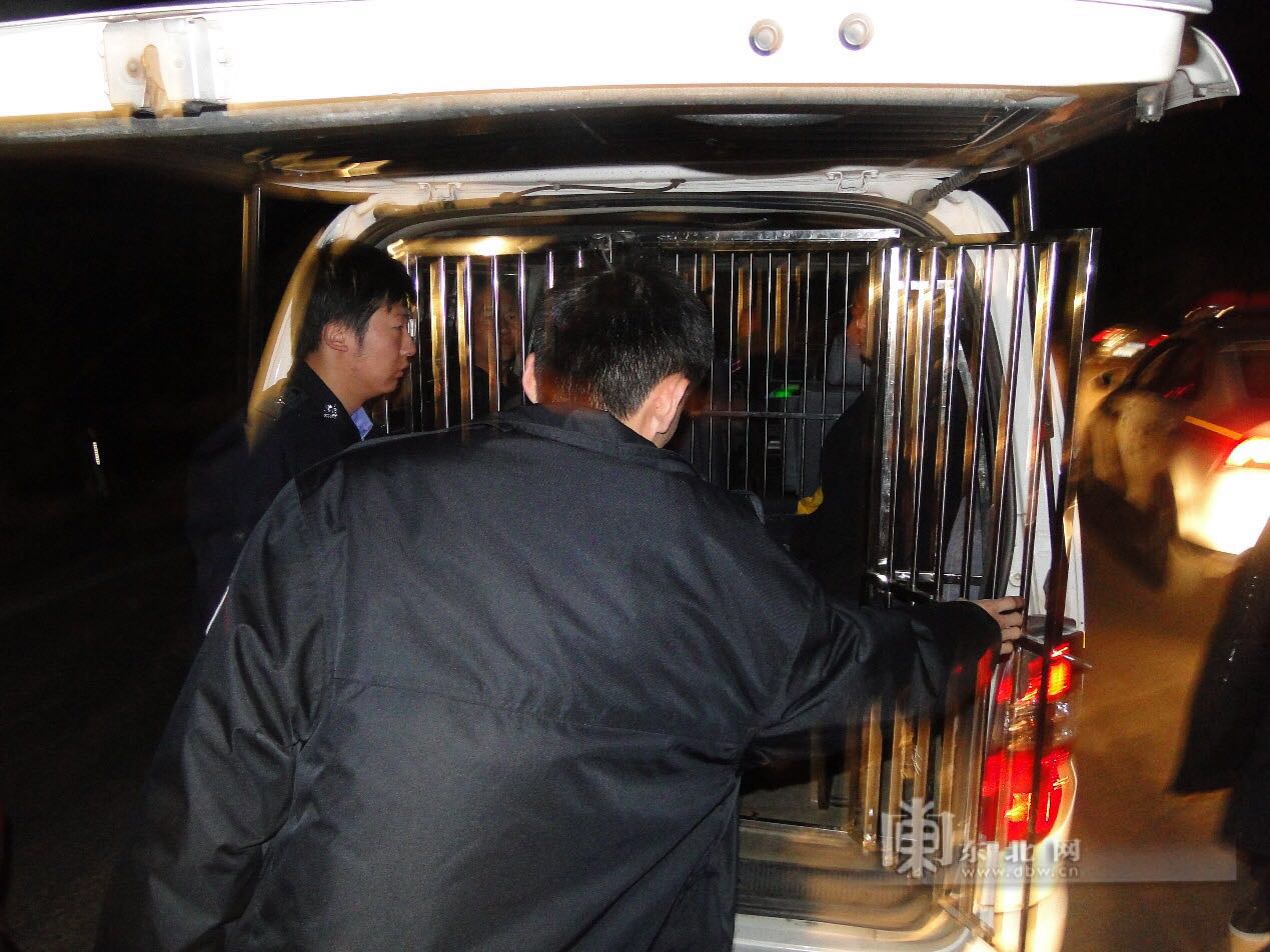 暴力抗法行为人被押上警车.