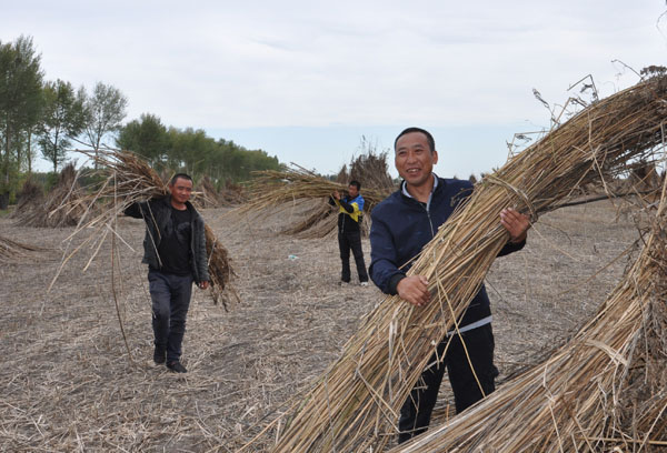 手拿订单种汉麻