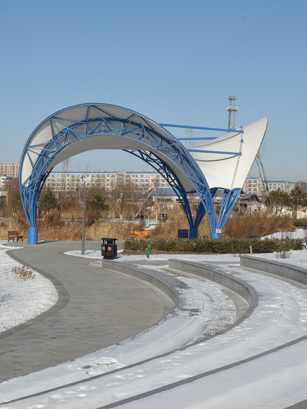 雪落青冈景致别样-绥化新闻网-东北网