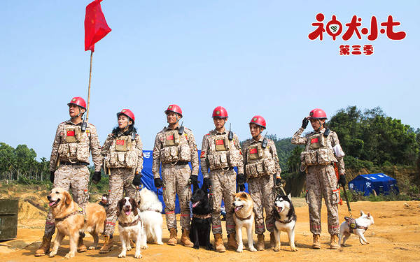 《神犬小七第三季》MV元气上线 治愈系萌宠领跑2018