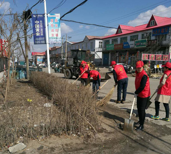 向阳镇全民行动爱国卫生活动掀高潮-鸡东新闻网-东北网