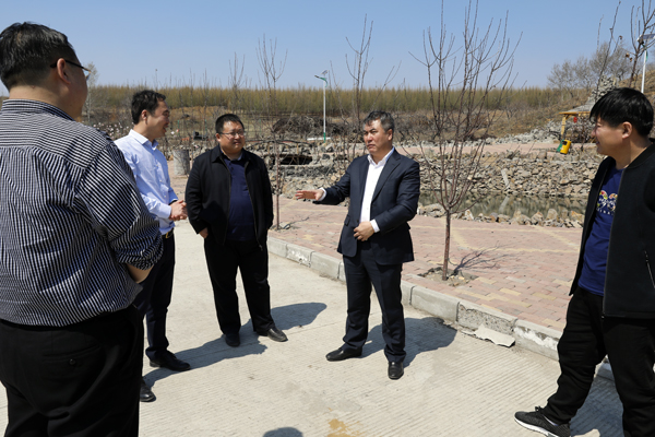 王兆成调研春耕生产工作和农业产业结构调整工作