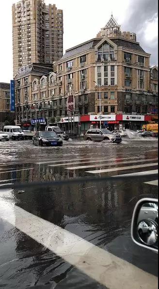 哈尔滨大暴雨图片