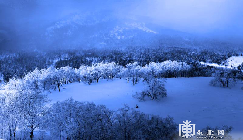 东北春夏秋冬的景色图片