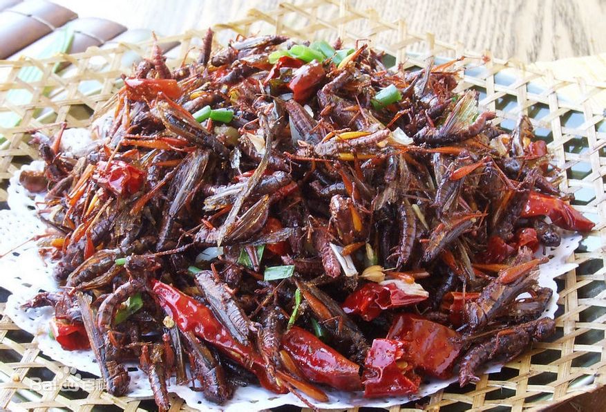 蝗虫不能随便吃 男子油炸一盘险丧命