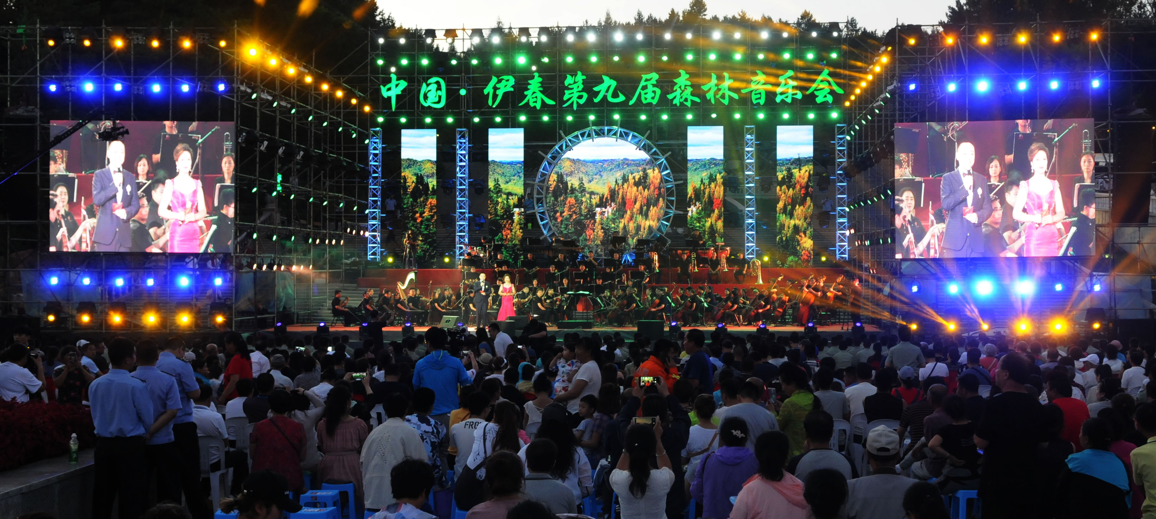 大森林奏响天籁乐章