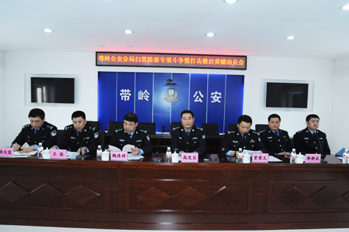 公安局带岭分局精心部署 深入展开扫黑除恶专
