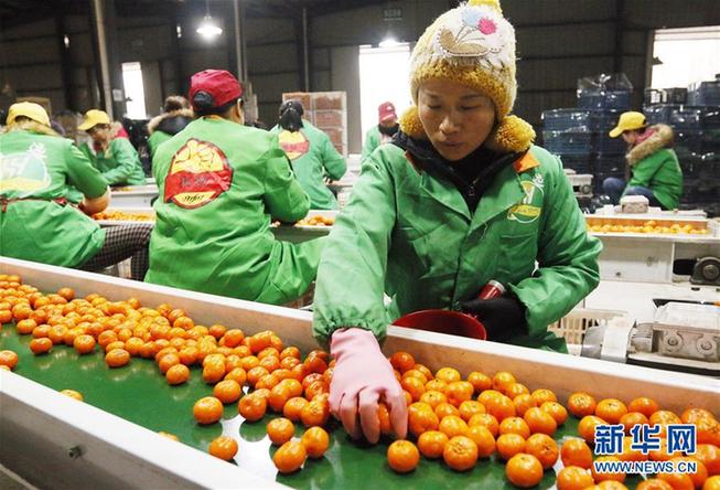 新华网评:带着美好的祈愿 迈入奋斗的春天