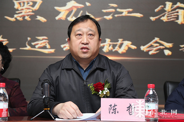 黑龙江省电子竞技运动协会正式成立-东北网黑龙江-东北网