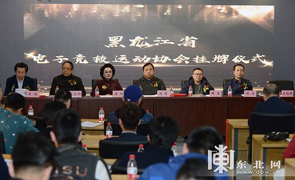 黑龙江省电子竞技运动协会正式成立