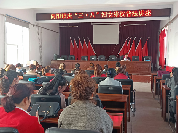 向阳镇举办庆三八系列活动