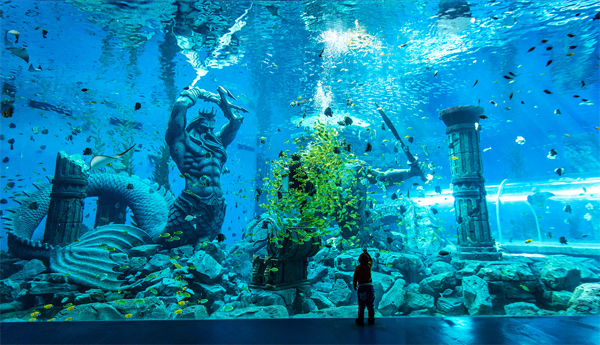 财经频道 国内  波塞冬二期海底世界设有两座新场馆,场馆之一海洋奇域