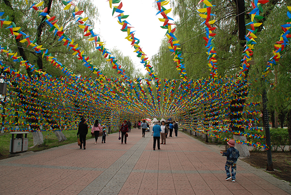 北秀公园 两万个单体风车成"网红"